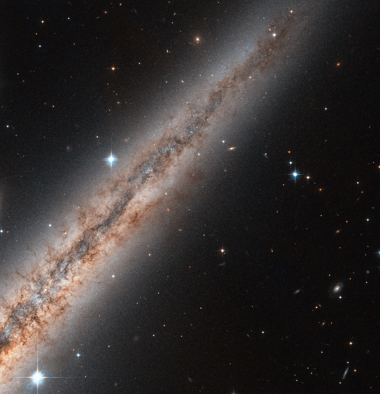 Die nahezu kantenständig gesehene Spiralgalaxie NGC 891 im Sternbild Andromeda, aufgenommen mit dem Hubble-Weltraumteleskop