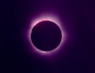 user grossgalerie1005