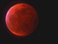 user grossgalerie1008