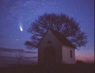 user grossgalerie1010