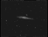 user heringsgalaxie ngc4631