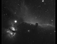 user pferdekopfnebel b33