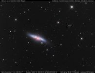 M82