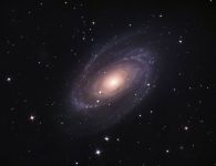 M81
