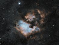 NGC7000