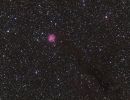 IC5146 - Kokonnebel