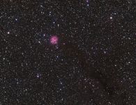 IC5146 - Kokonnebel