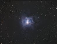 Irisnebel