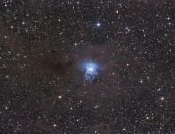 NGC7023