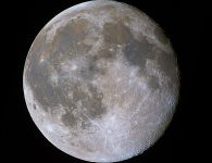 Mond
