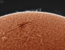 Sonne vom 9. August 2021