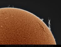 Sonne HAlpha