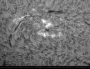 Sonne HAlpha