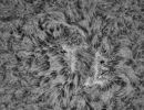 Sonne HAlpha