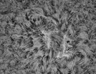 Sonne HAlpha