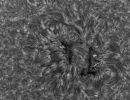 Sonne HAlpha
