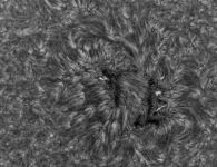 Sonne HAlpha