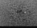 Sonne HAlpha