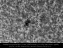 Sonne AR 2858 Detailaufnahmen