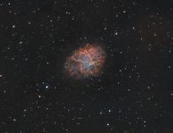 M1 