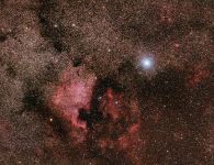 NGC 7000