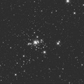 NGC1502