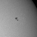 Sonnenfleck