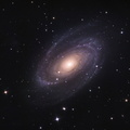 M81