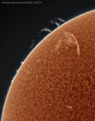 Sonne vom 20. August 2021