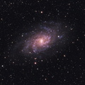 M33